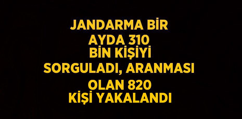 JANDARMA BİR AYDA 310 BİN KİŞİYİ SORGULADI, ARANMASI OLAN 820 KİŞİ YAKALANDI