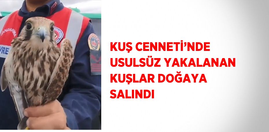 KUŞ CENNETİ’NDE USULSÜZ YAKALANAN KUŞLAR DOĞAYA SALINDI