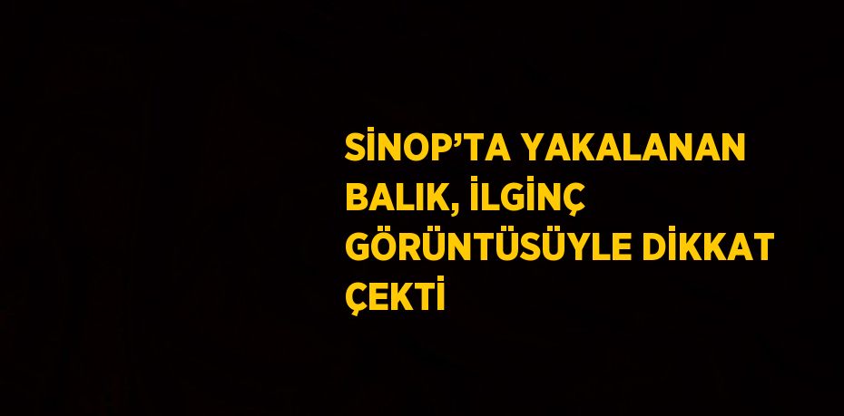 SİNOP’TA YAKALANAN BALIK, İLGİNÇ GÖRÜNTÜSÜYLE DİKKAT ÇEKTİ