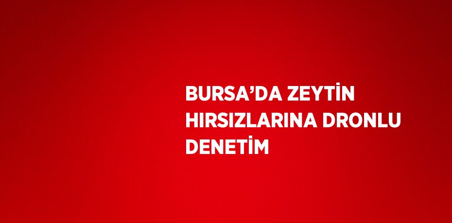 BURSA’DA ZEYTİN HIRSIZLARINA DRONLU DENETİM