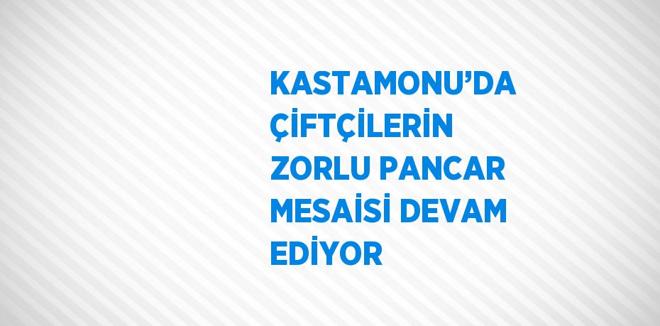 KASTAMONU’DA ÇİFTÇİLERİN ZORLU PANCAR MESAİSİ DEVAM EDİYOR