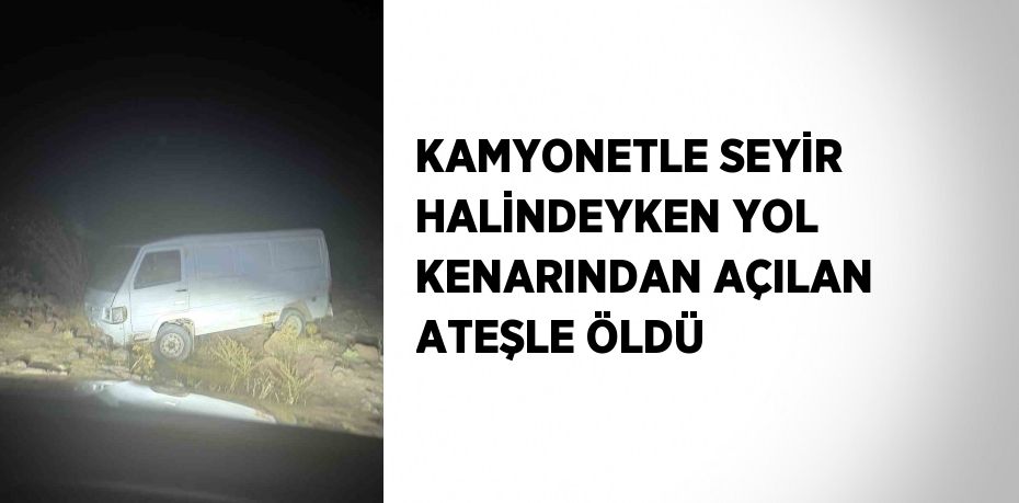 KAMYONETLE SEYİR HALİNDEYKEN YOL KENARINDAN AÇILAN ATEŞLE ÖLDÜ