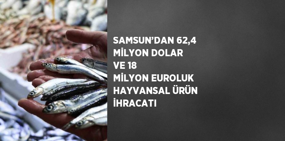 SAMSUN’DAN 62,4 MİLYON DOLAR VE 18 MİLYON EUROLUK HAYVANSAL ÜRÜN İHRACATI