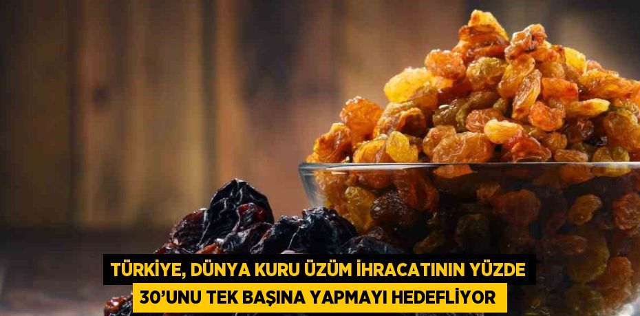 TÜRKİYE, DÜNYA KURU ÜZÜM İHRACATININ YÜZDE 30’UNU TEK BAŞINA YAPMAYI HEDEFLİYOR