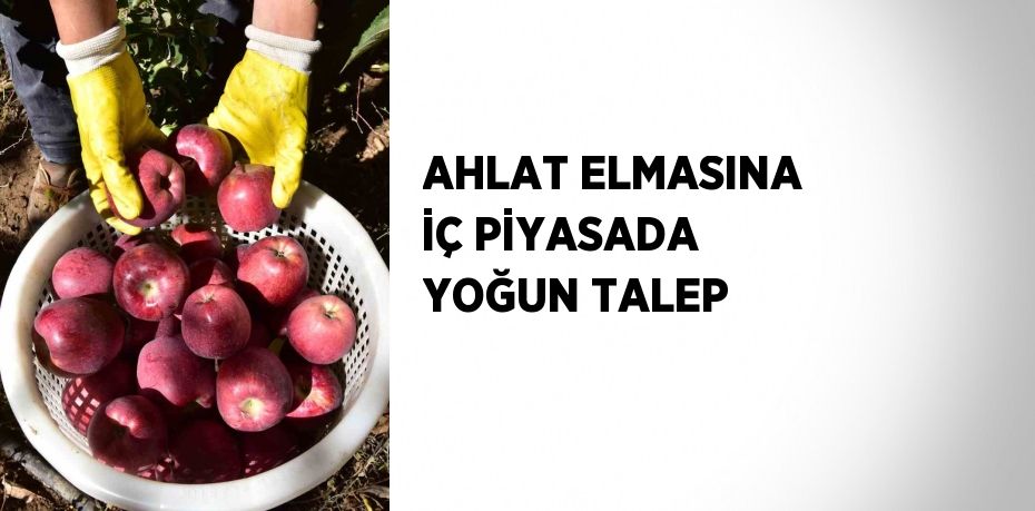 AHLAT ELMASINA İÇ PİYASADA YOĞUN TALEP