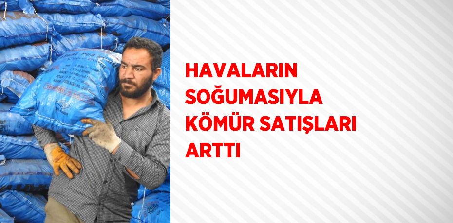 HAVALARIN SOĞUMASIYLA KÖMÜR SATIŞLARI ARTTI