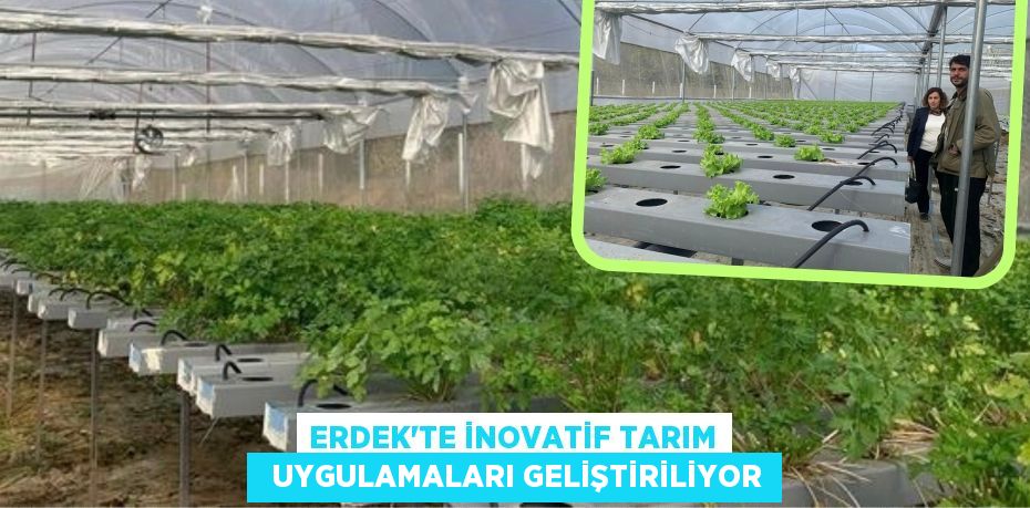 ERDEK'TE İNOVATİF TARIM   UYGULAMALARI GELİŞTİRİLİYOR