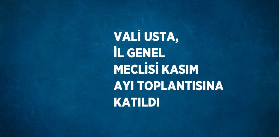 VALİ USTA, İL GENEL MECLİSİ KASIM AYI TOPLANTISINA KATILDI