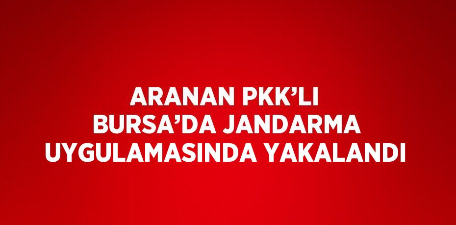 ARANAN PKK’LI BURSA’DA JANDARMA UYGULAMASINDA YAKALANDI