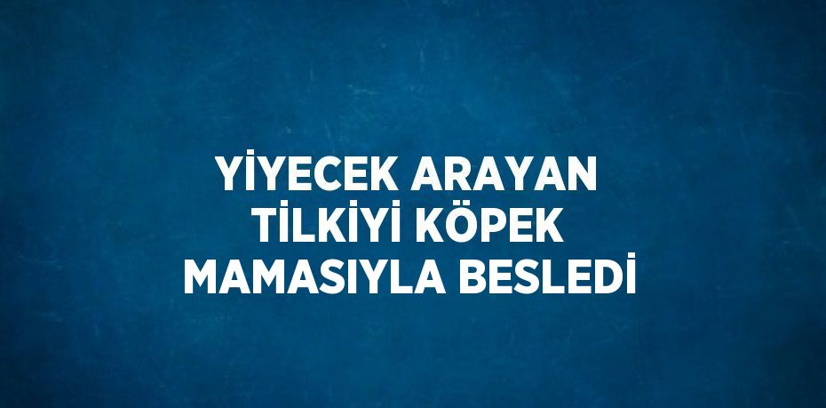 YİYECEK ARAYAN TİLKİYİ KÖPEK MAMASIYLA BESLEDİ