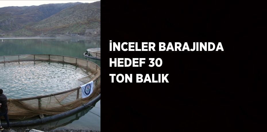 İNCELER BARAJINDA HEDEF 30 TON BALIK