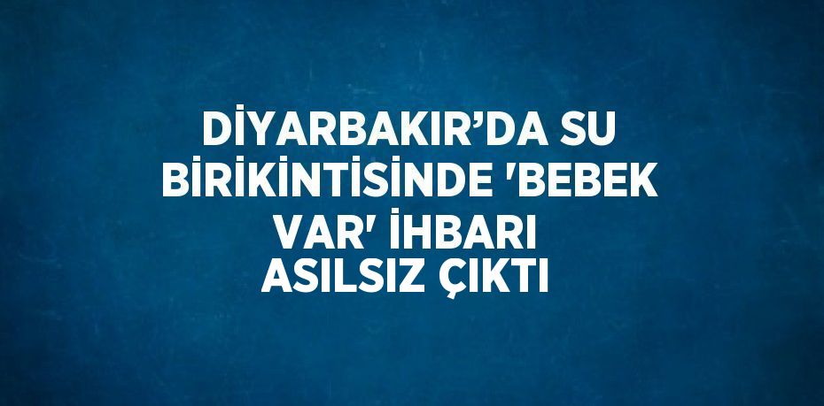 DİYARBAKIR’DA SU BİRİKİNTİSİNDE 'BEBEK VAR' İHBARI ASILSIZ ÇIKTI