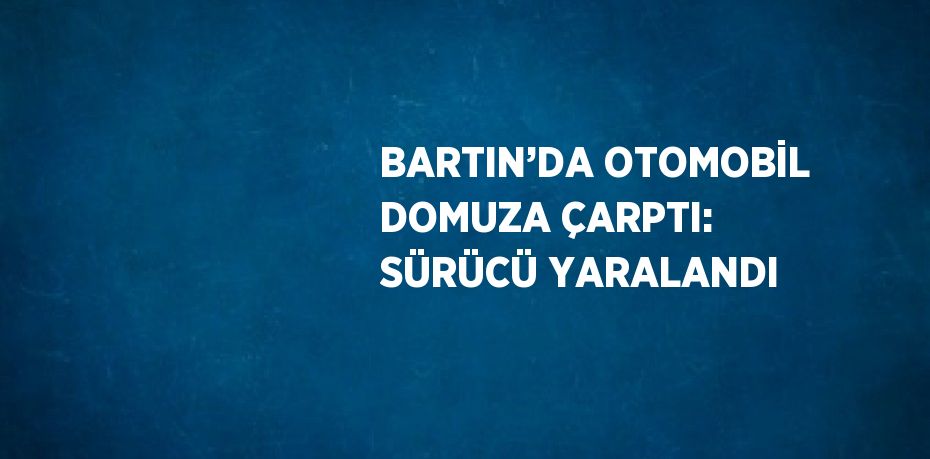 BARTIN’DA OTOMOBİL DOMUZA ÇARPTI: SÜRÜCÜ YARALANDI