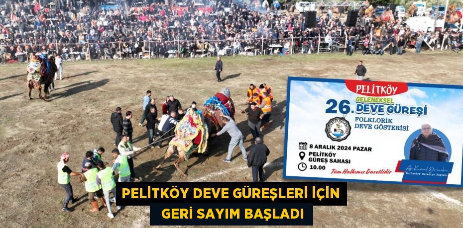 PELİTKÖY DEVE GÜREŞLERİ İÇİN   GERİ SAYIM BAŞLADI