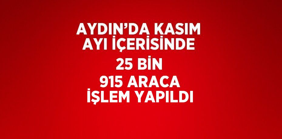 AYDIN’DA KASIM AYI İÇERİSİNDE 25 BİN 915 ARACA İŞLEM YAPILDI