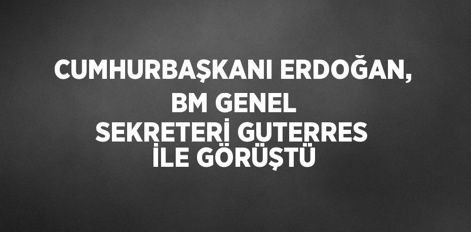 CUMHURBAŞKANI ERDOĞAN, BM GENEL SEKRETERİ GUTERRES İLE GÖRÜŞTÜ