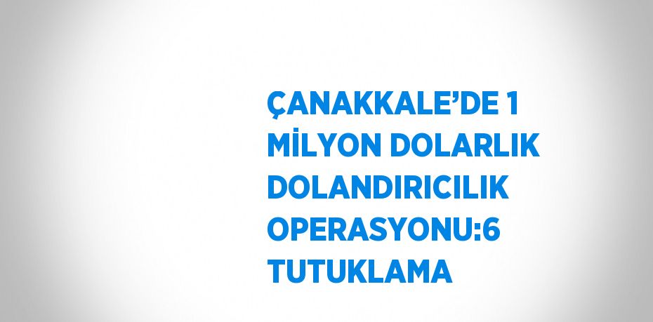 ÇANAKKALE’DE 1 MİLYON DOLARLIK DOLANDIRICILIK OPERASYONU:6 TUTUKLAMA