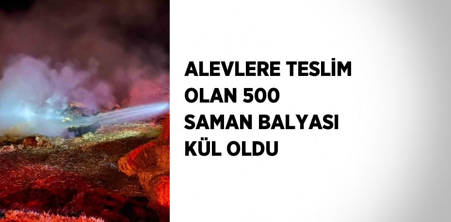 ALEVLERE TESLİM OLAN 500 SAMAN BALYASI KÜL OLDU