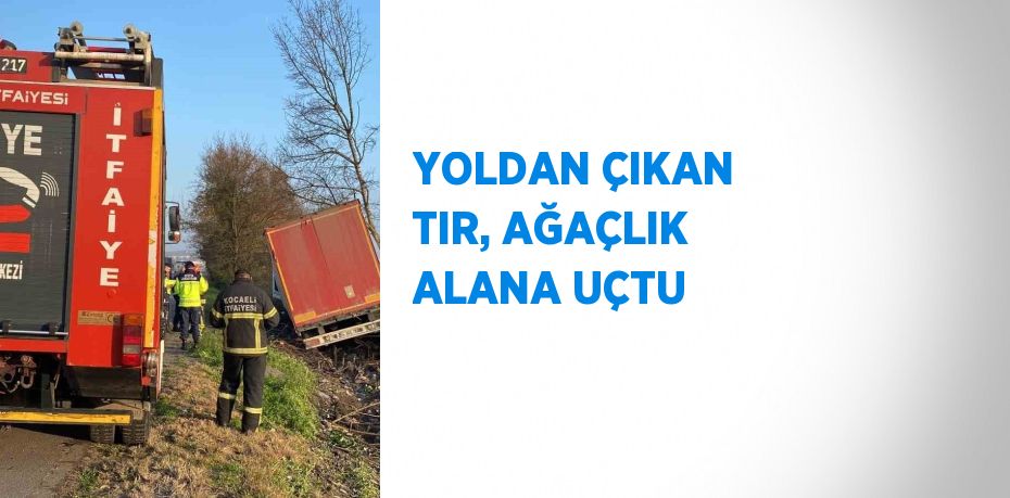 YOLDAN ÇIKAN TIR, AĞAÇLIK ALANA UÇTU