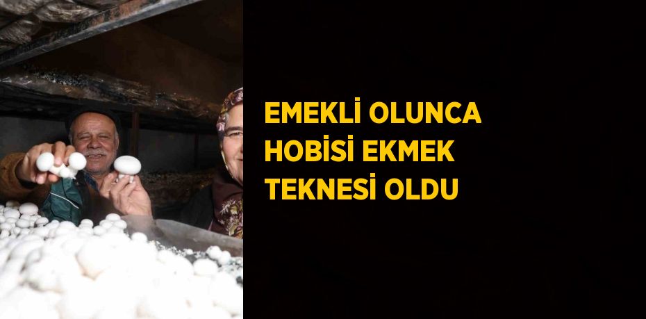 EMEKLİ OLUNCA HOBİSİ EKMEK TEKNESİ OLDU