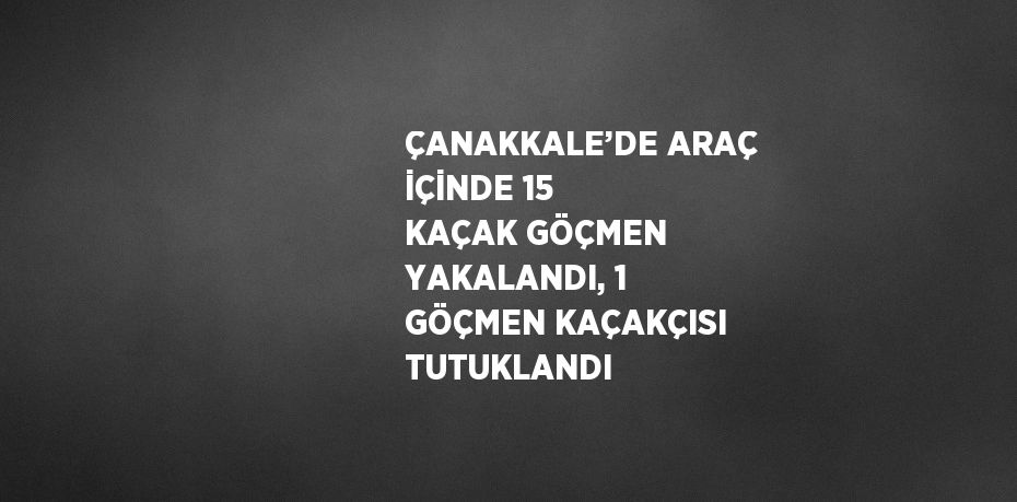 ÇANAKKALE’DE ARAÇ İÇİNDE 15 KAÇAK GÖÇMEN YAKALANDI, 1 GÖÇMEN KAÇAKÇISI TUTUKLANDI