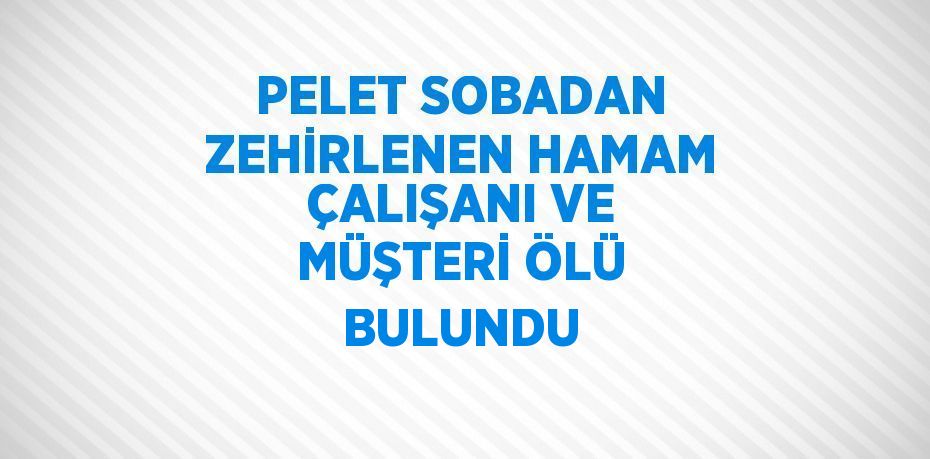 PELET SOBADAN ZEHİRLENEN HAMAM ÇALIŞANI VE MÜŞTERİ ÖLÜ BULUNDU