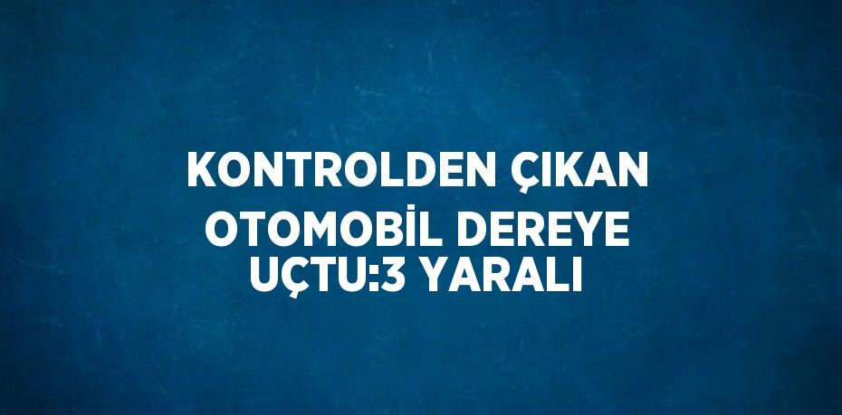 KONTROLDEN ÇIKAN OTOMOBİL DEREYE UÇTU:3 YARALI