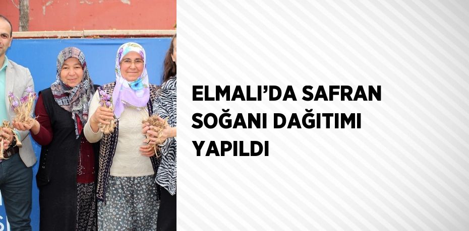 ELMALI’DA SAFRAN SOĞANI DAĞITIMI YAPILDI