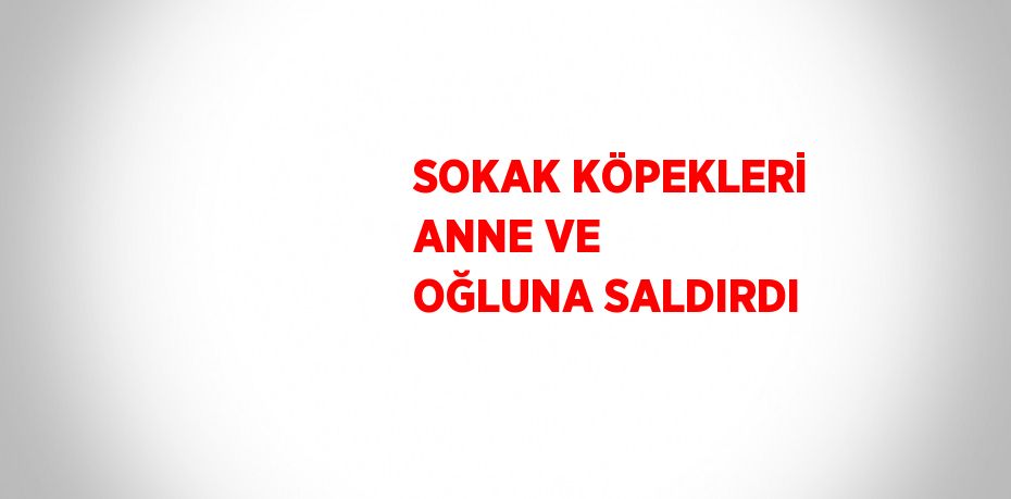 SOKAK KÖPEKLERİ ANNE VE OĞLUNA SALDIRDI