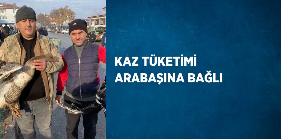 KAZ TÜKETİMİ ARABAŞINA BAĞLI