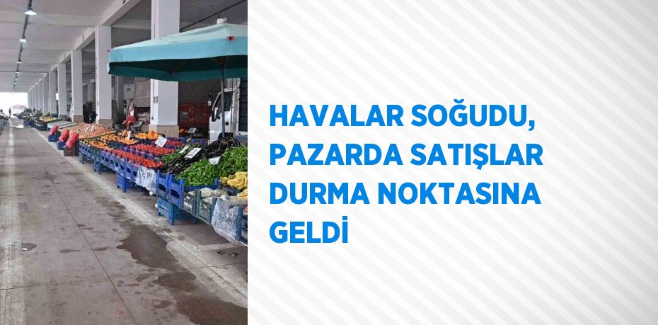 HAVALAR SOĞUDU, PAZARDA SATIŞLAR DURMA NOKTASINA GELDİ