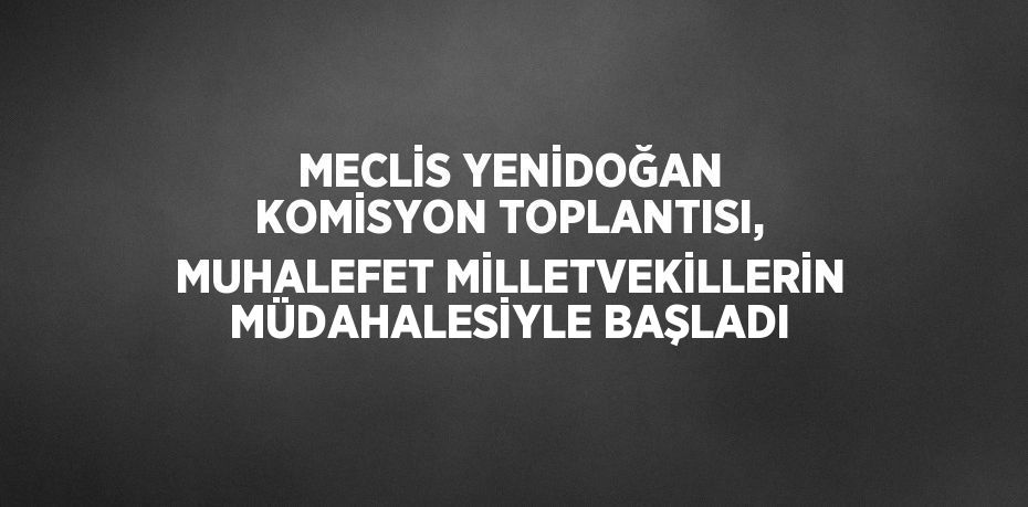 MECLİS YENİDOĞAN KOMİSYON TOPLANTISI, MUHALEFET MİLLETVEKİLLERİN MÜDAHALESİYLE BAŞLADI