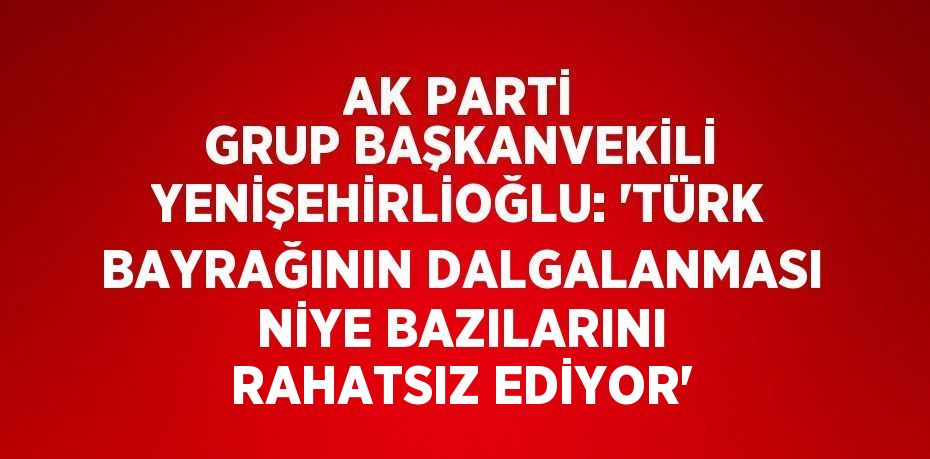 AK PARTİ GRUP BAŞKANVEKİLİ YENİŞEHİRLİOĞLU: 'TÜRK BAYRAĞININ DALGALANMASI NİYE BAZILARINI RAHATSIZ EDİYOR'