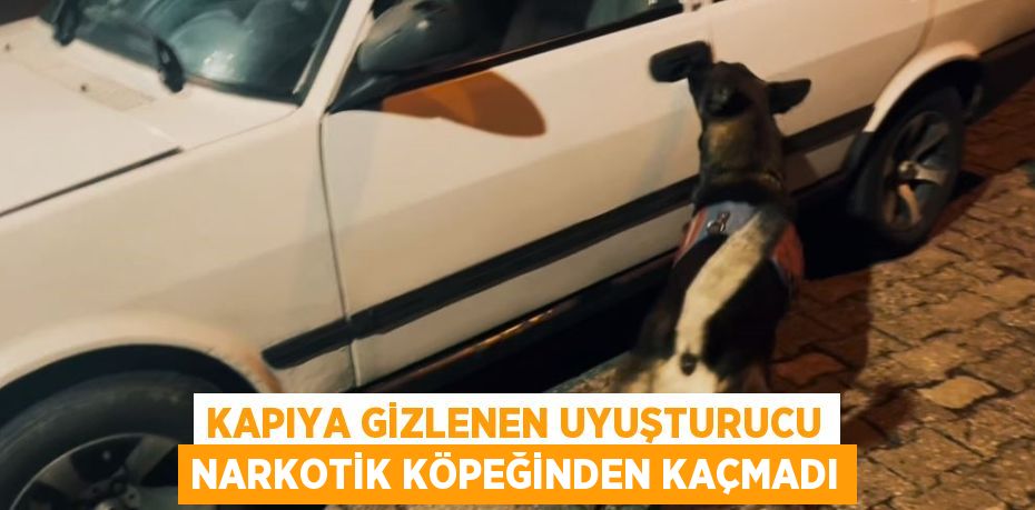 KAPIYA GİZLENEN UYUŞTURUCU NARKOTİK KÖPEĞİNDEN KAÇMADI