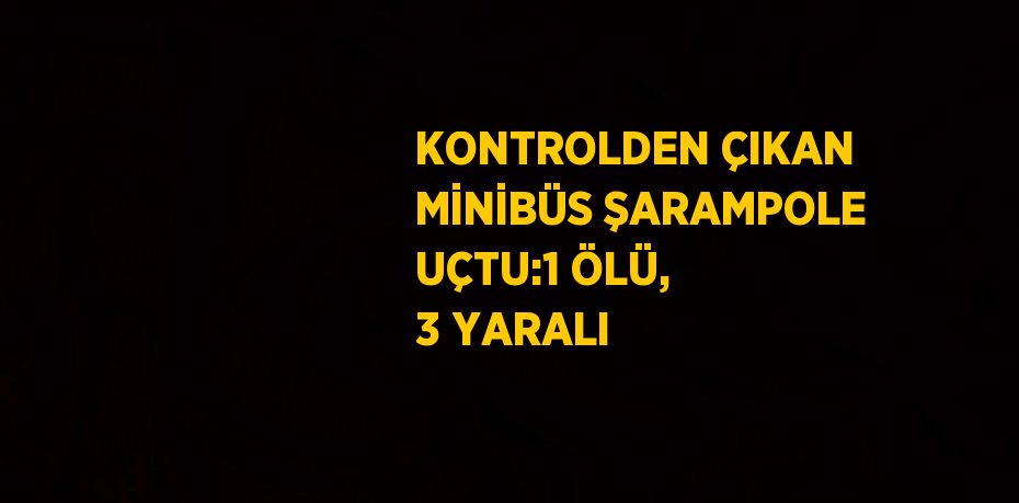 KONTROLDEN ÇIKAN MİNİBÜS ŞARAMPOLE UÇTU:1 ÖLÜ, 3 YARALI