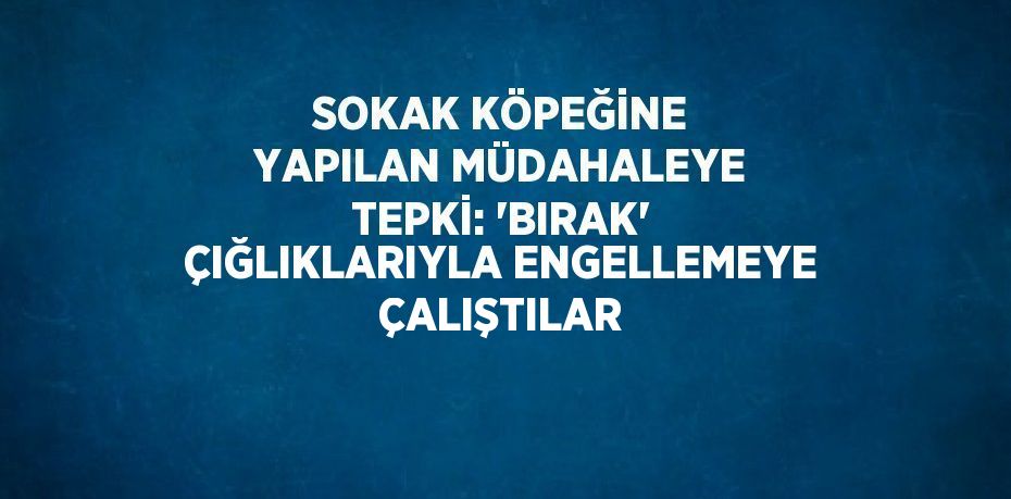 SOKAK KÖPEĞİNE YAPILAN MÜDAHALEYE TEPKİ: 'BIRAK' ÇIĞLIKLARIYLA ENGELLEMEYE ÇALIŞTILAR