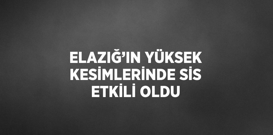 ELAZIĞ’IN YÜKSEK KESİMLERİNDE SİS ETKİLİ OLDU