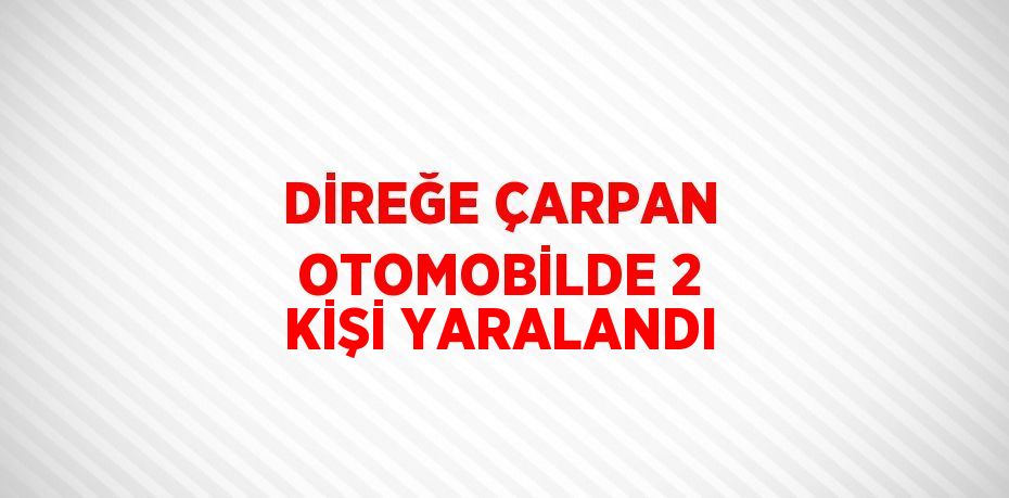 DİREĞE ÇARPAN OTOMOBİLDE 2 KİŞİ YARALANDI