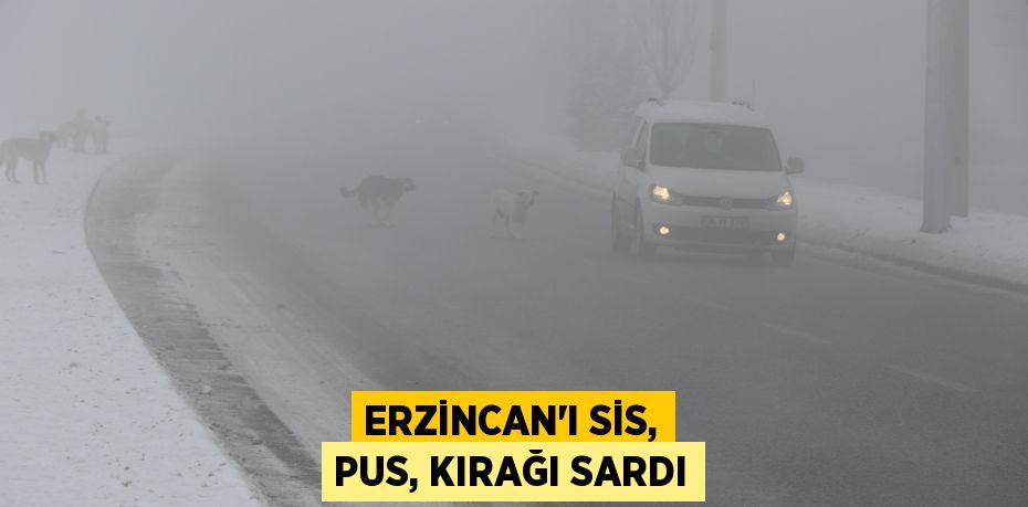 Erzincan’ı sis, pus, kırağı sardı