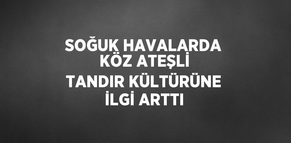 SOĞUK HAVALARDA KÖZ ATEŞLİ TANDIR KÜLTÜRÜNE İLGİ ARTTI