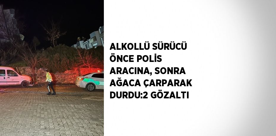 ALKOLLÜ SÜRÜCÜ ÖNCE POLİS ARACINA, SONRA AĞACA ÇARPARAK DURDU:2 GÖZALTI