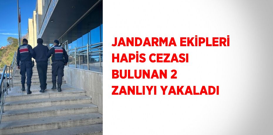 JANDARMA EKİPLERİ HAPİS CEZASI BULUNAN 2 ZANLIYI YAKALADI