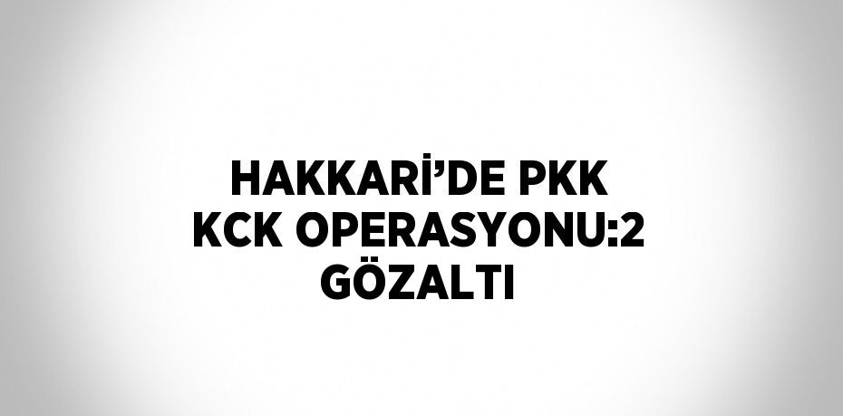 HAKKARİ’DE PKK KCK OPERASYONU:2 GÖZALTI