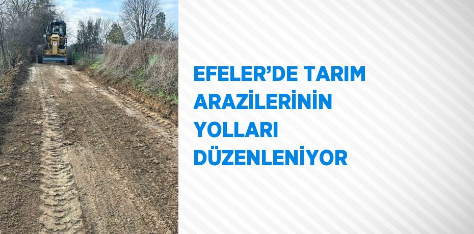 EFELER’DE TARIM ARAZİLERİNİN YOLLARI DÜZENLENİYOR