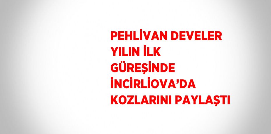 PEHLİVAN DEVELER YILIN İLK GÜREŞİNDE İNCİRLİOVA’DA KOZLARINI PAYLAŞTI