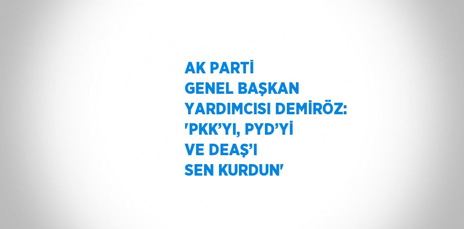 AK PARTİ GENEL BAŞKAN YARDIMCISI DEMİRÖZ: 'PKK’YI, PYD’Yİ VE DEAŞ’I SEN KURDUN'