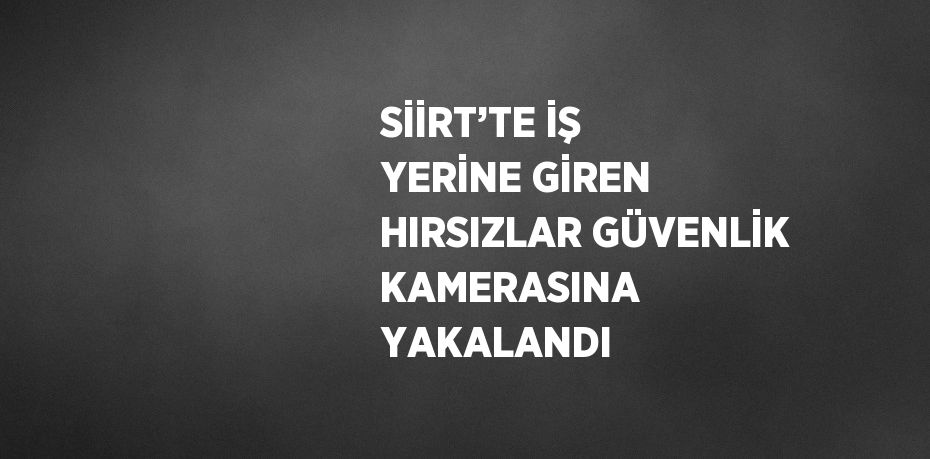 SİİRT’TE İŞ YERİNE GİREN HIRSIZLAR GÜVENLİK KAMERASINA YAKALANDI