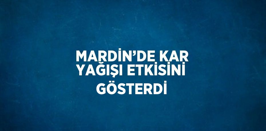 MARDİN’DE KAR YAĞIŞI ETKİSİNİ GÖSTERDİ