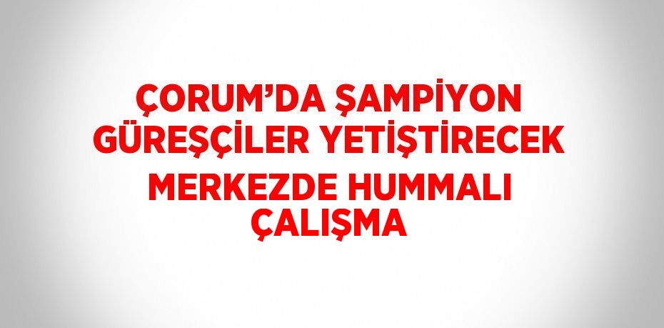 ÇORUM’DA ŞAMPİYON GÜREŞÇİLER YETİŞTİRECEK MERKEZDE HUMMALI ÇALIŞMA