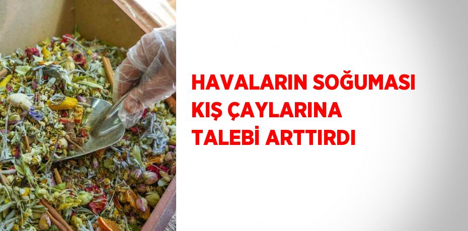 HAVALARIN SOĞUMASI KIŞ ÇAYLARINA TALEBİ ARTTIRDI